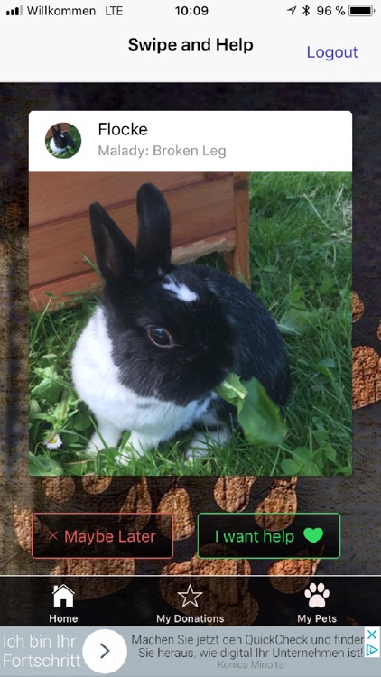 Donation To Sick Pets