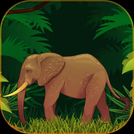 3D Elephant Attack Cheats