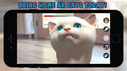 cattery iphone resimleri 1