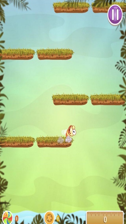 Lucky Animal Jump Up