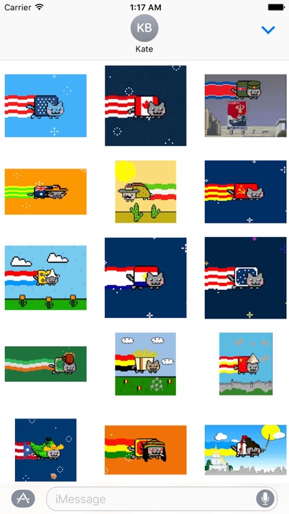National Flag And Nyan Cat