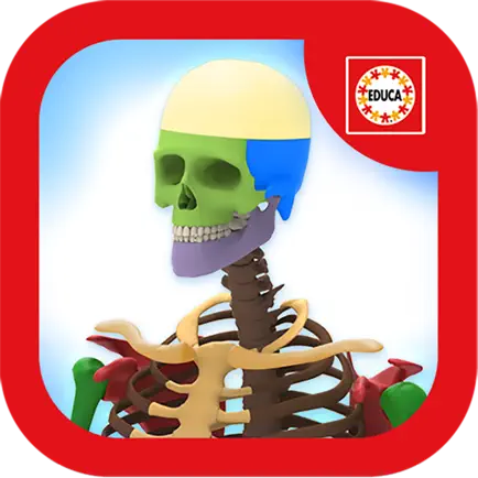 Educa Explorer Cuerpo Humano. Читы