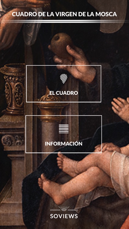 Cuadro de Virgen de la Mosca