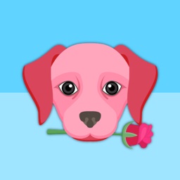 Valentine's Day Labrador