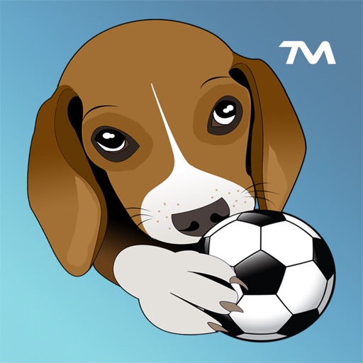 Beagle Bruno
