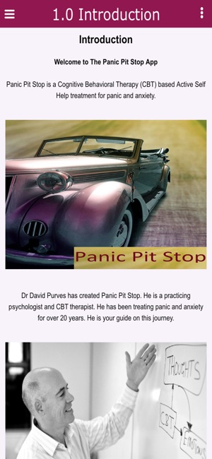 Panic Pit Stop