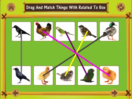 Pair Making Matching Puzzle
