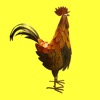 Rooster Timer - iPadアプリ
