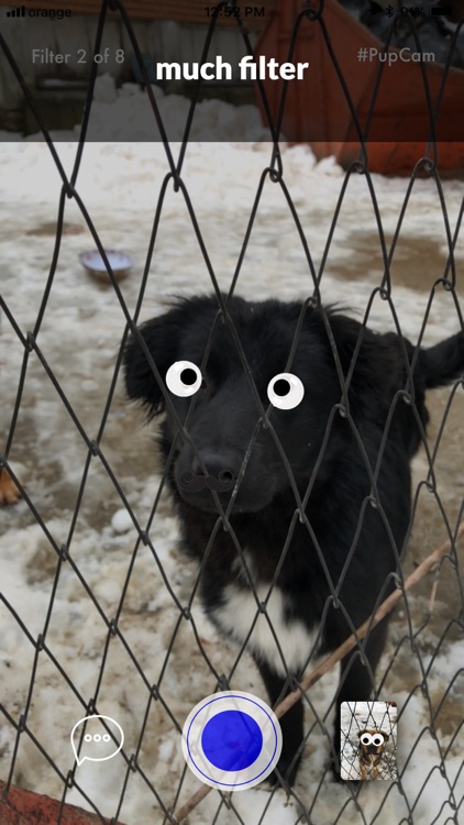PupCam screenshot-3