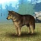 Angry Wild Wolf 3D Simulator