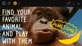Game screenshot Virry game: Learn wild animals hack