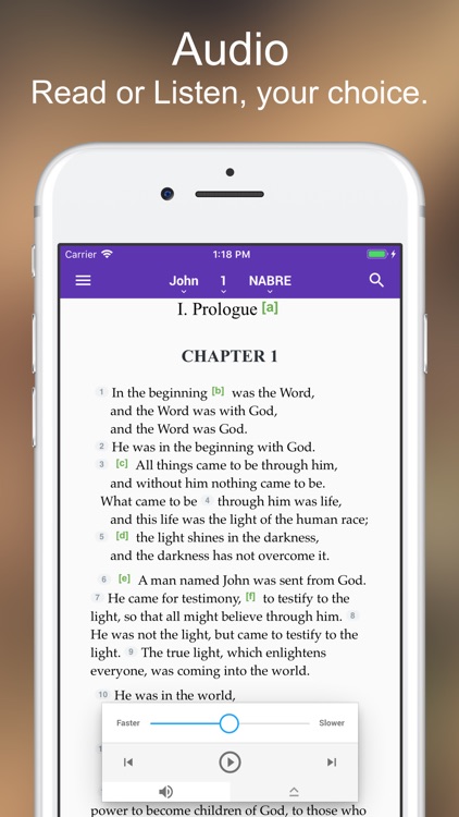 Catholic Bible Lite screenshot-3