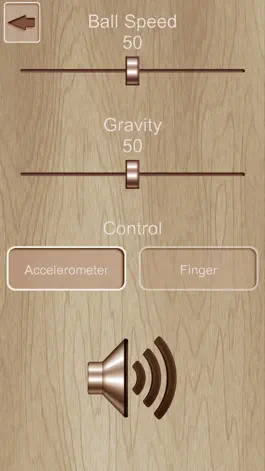 Game screenshot Color Labyrinth hack