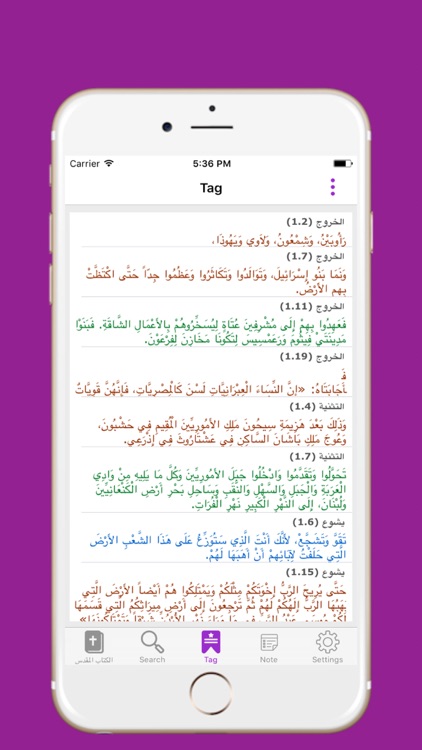 New Arabic Bible