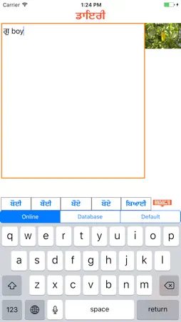 Punjabi Diary screenshot 1