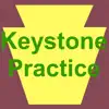 Keystone Biology Practice Test problems & troubleshooting and solutions