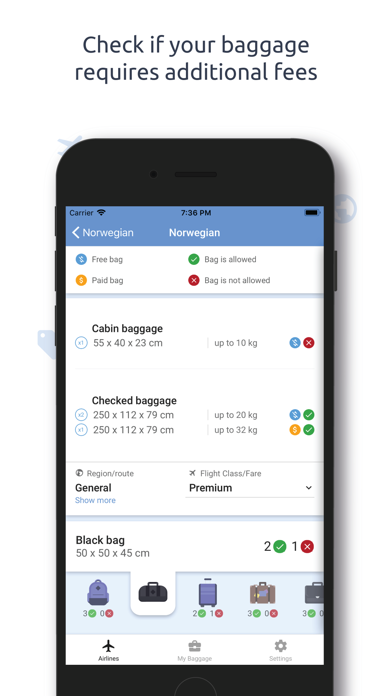 Baggify screenshot