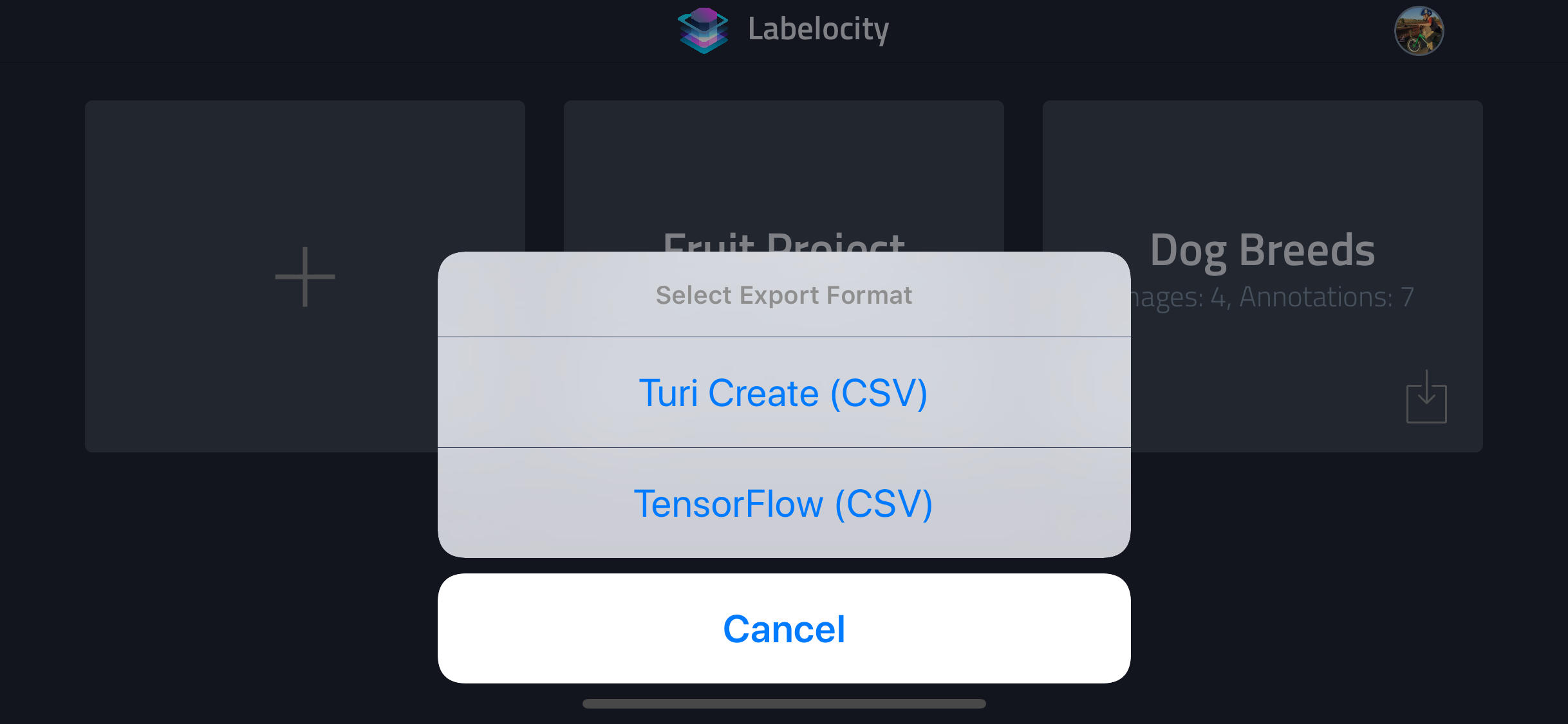 Labelocity - Image Annotation screenshot 3