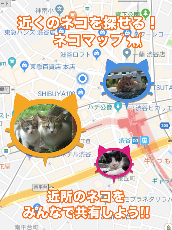 近所の ネコや ノラネコを共有するアプリ『ねこ さがし』のおすすめ画像1