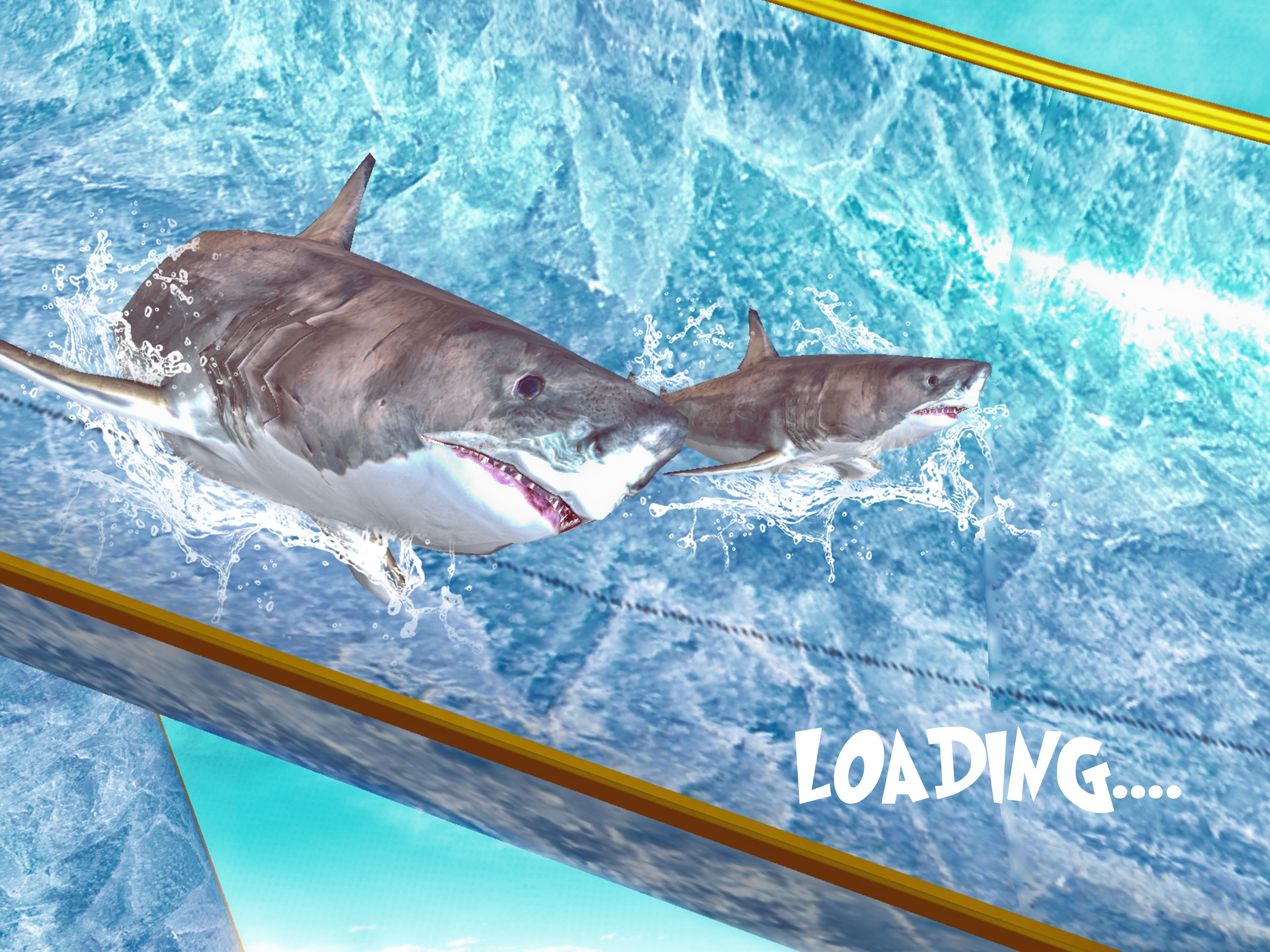 Shark Slide Racing 2018