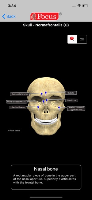 Head and Neck(圖4)-速報App