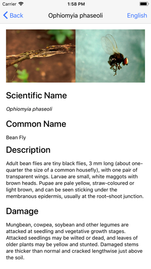 Pest ID(圖2)-速報App