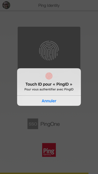 Télécharger PingID pour iPhone / iPad sur l'App Store (Productivité)