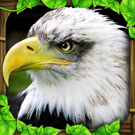 Eagle Simulator iOS App