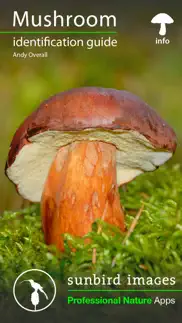 mushroom guide british isles problems & solutions and troubleshooting guide - 2