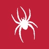 Richmond Spiders Gameday