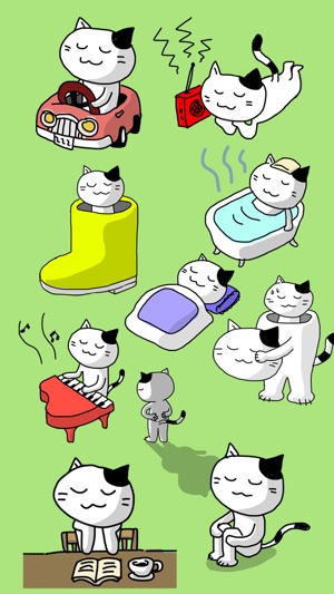 Daily of white cat