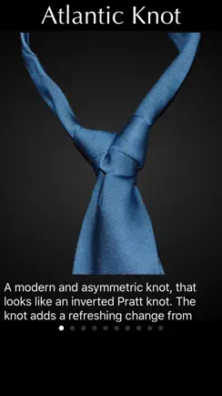 Perfect Necktie iPhone image 1