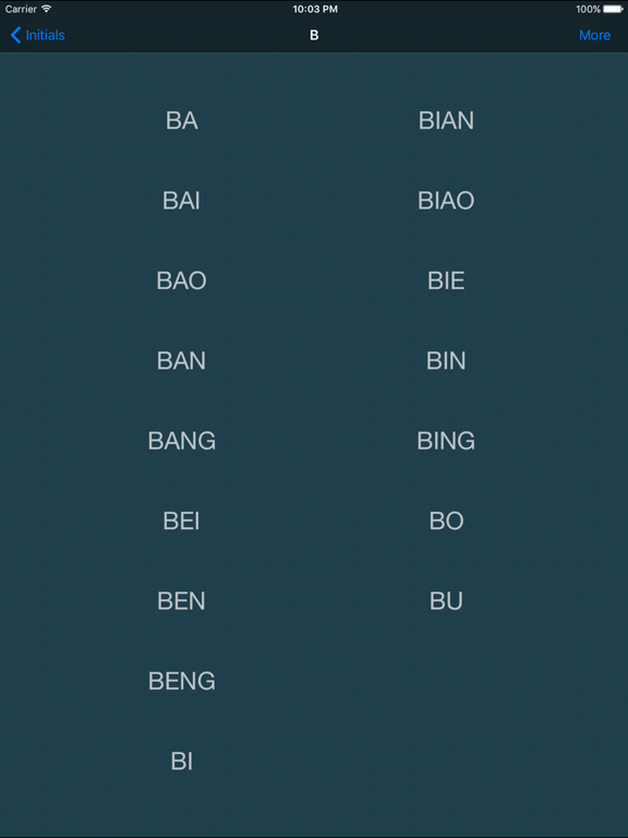 Standard Mandarin iPad screenshot 5 - Education app