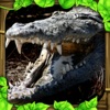 Wildlife Simulator: Crocodile icon