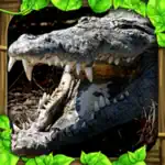 Wildlife Simulator: Crocodile App Contact