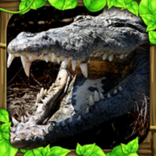 Wildlife Simulator: Crocodile Icon