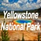 The Yellowstone national park app helps to plan your visit easy