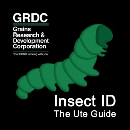 Insect ID: The Ute Guide
