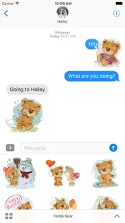 teddy bear for couples in love iPhone Captures Décran 1