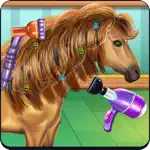 Horse Hair Salon App Contact