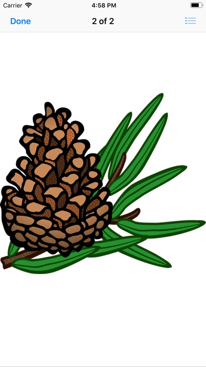 Pine Cone Stickers