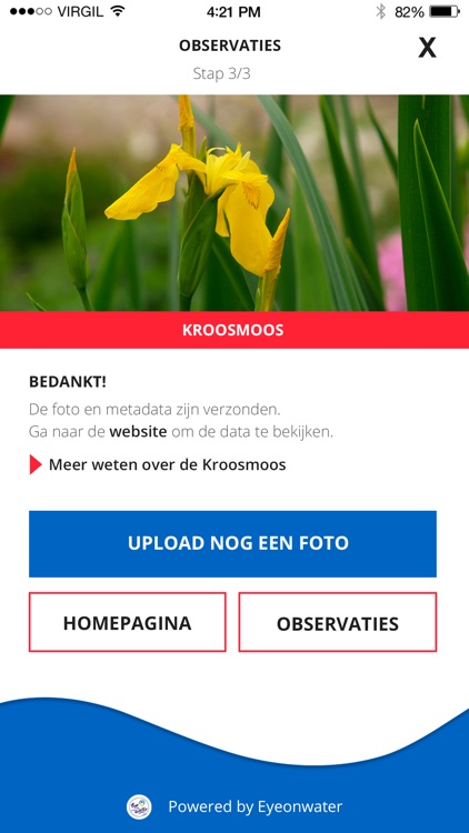 HDSR water en oeverplanten