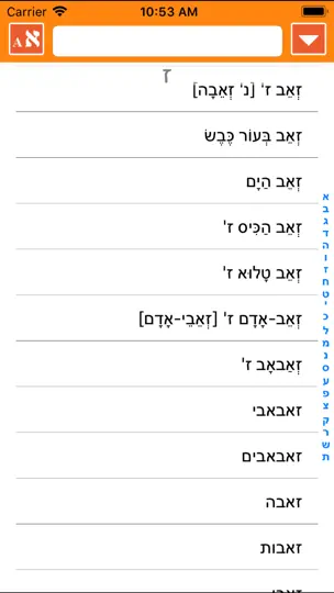 Скриншот ИРИС Иврит-Русский Словарь на iPhone 2
