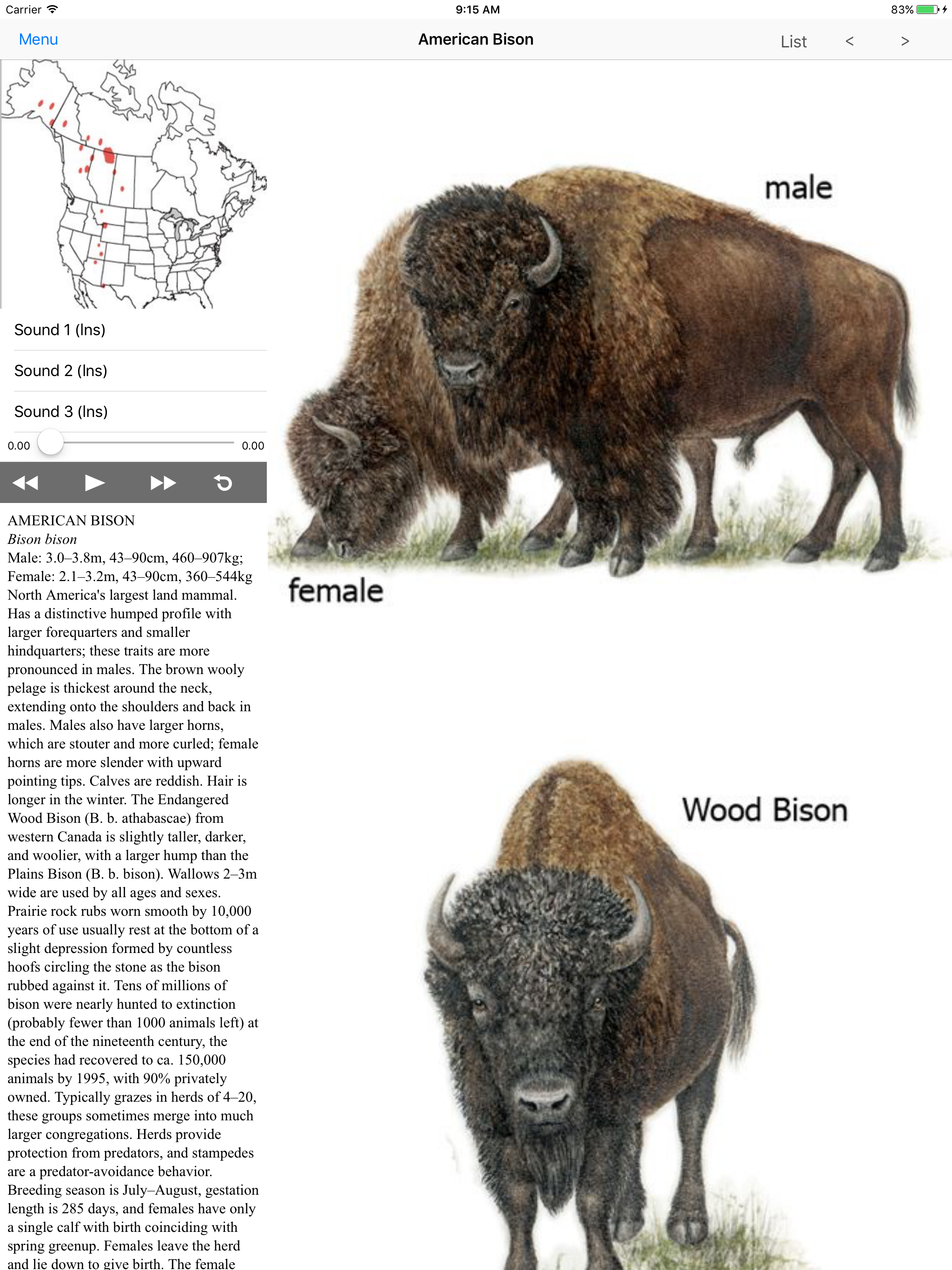 Mammals of North America LITE