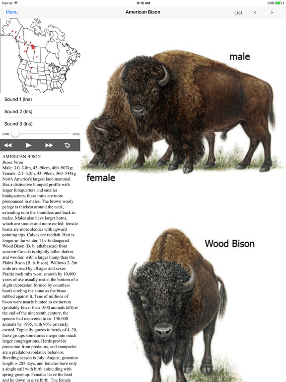 Screenshot #5 pour Mammals of North America LITE