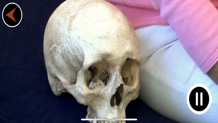 TRELLEBORGS MUSEUM screenshot-7