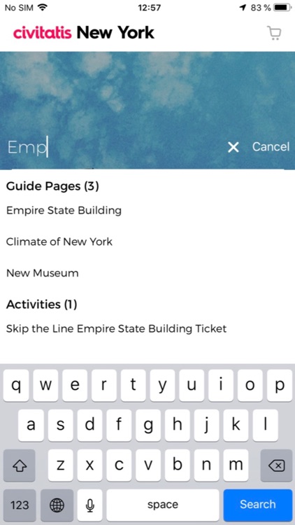 New York Guide Civitatis screenshot-9