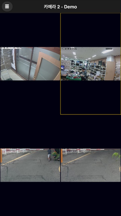 Linux NVR Mobile Viewer screenshot-3