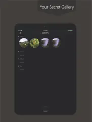 photo vault secret calculator айпад изображения 2