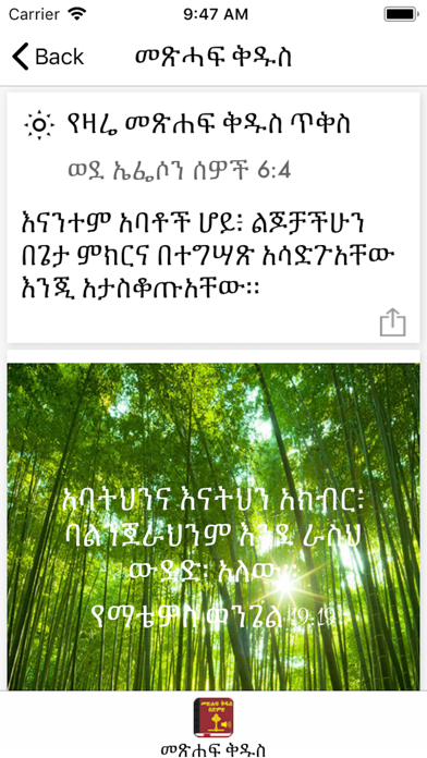 Amharic Bible with Audio Screenshot 1